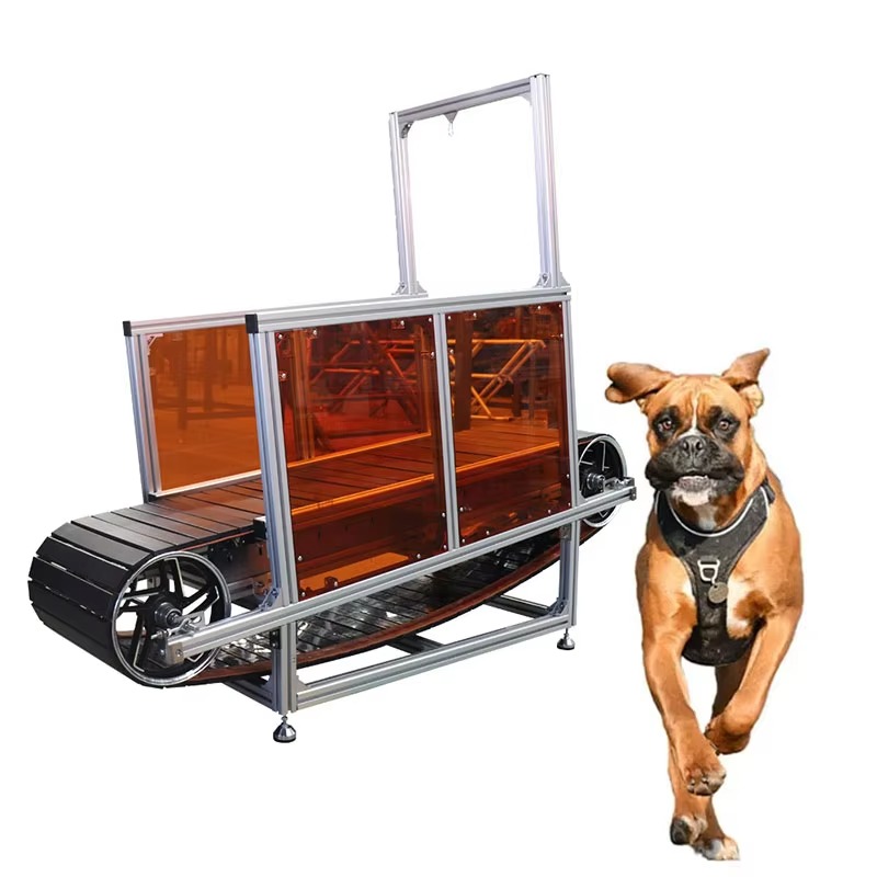 Large Non-Powered Pet Treadmil – Treadmill Home Gym Bewertung und Preis