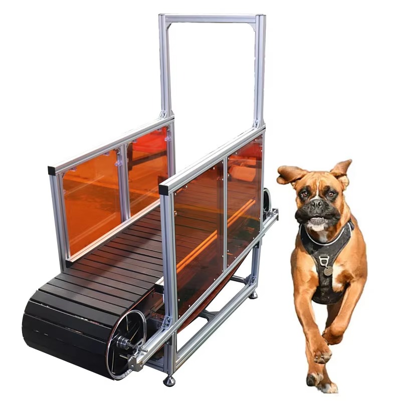 Large Non-Powered Pet Treadmil – Treadmill Home Gym Bewertung und Preis