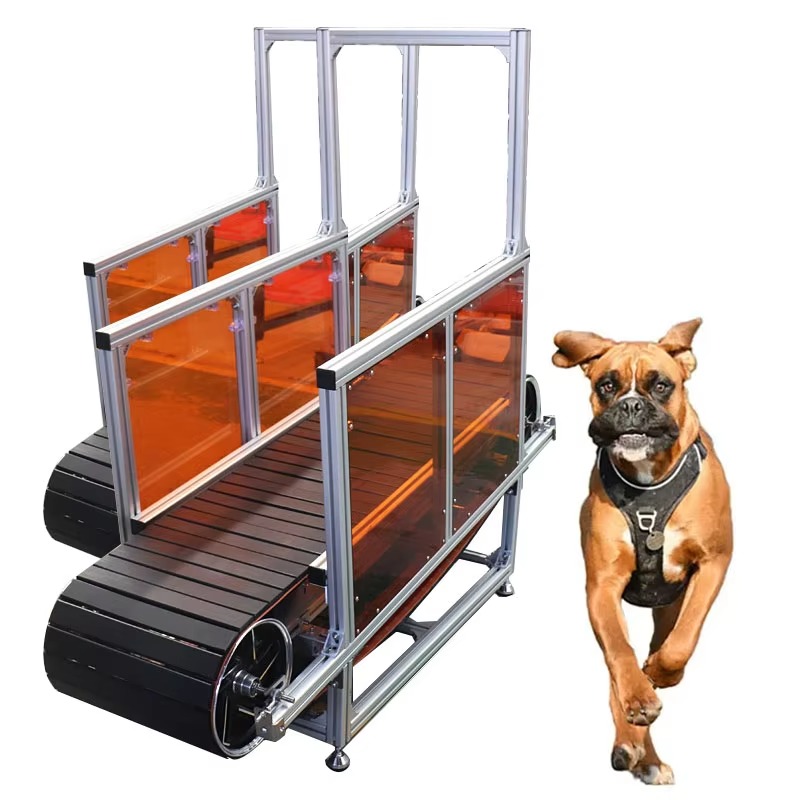 Large Non-Powered Pet Treadmil – Treadmill Home Gym Bewertung und Preis