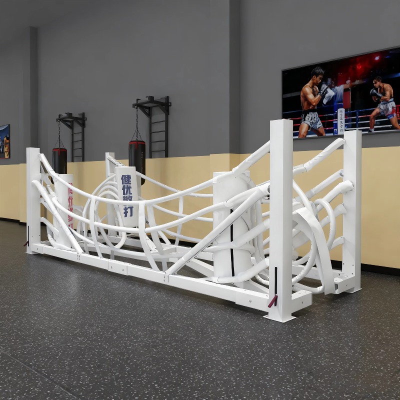 Foldable Gym Boxing Ring Set S – Home Gym Set Bewertung und Preis
