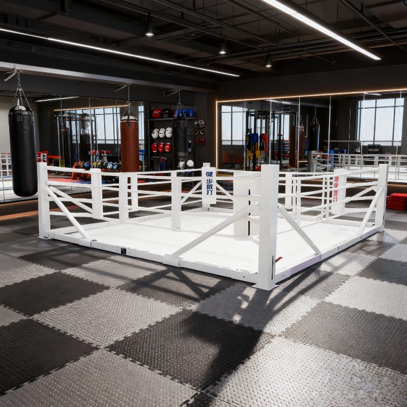 Foldable Gym Boxing Ring Set S – Home Gym Set Bewertung und Preis