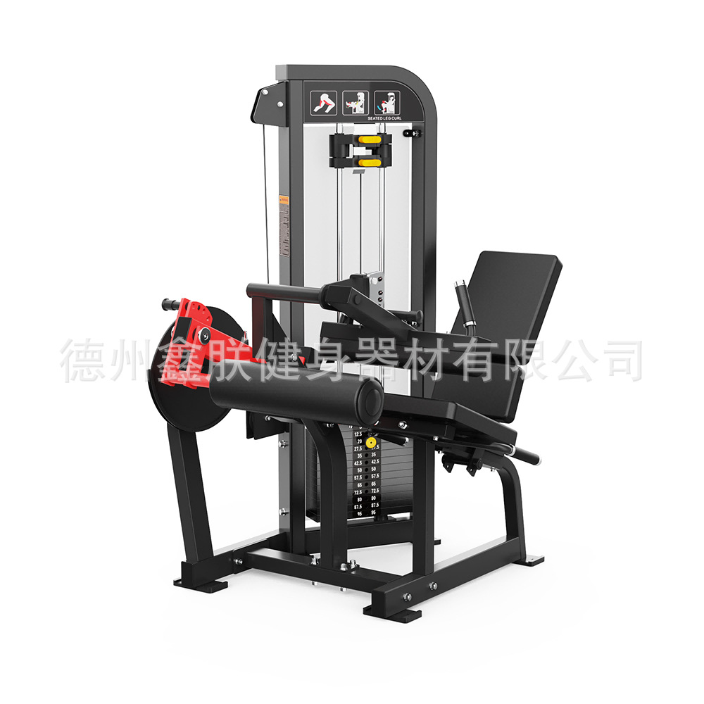Gym Hammer Strength Equipment  – Home Gym Hammer Strength Bewertung und Preis