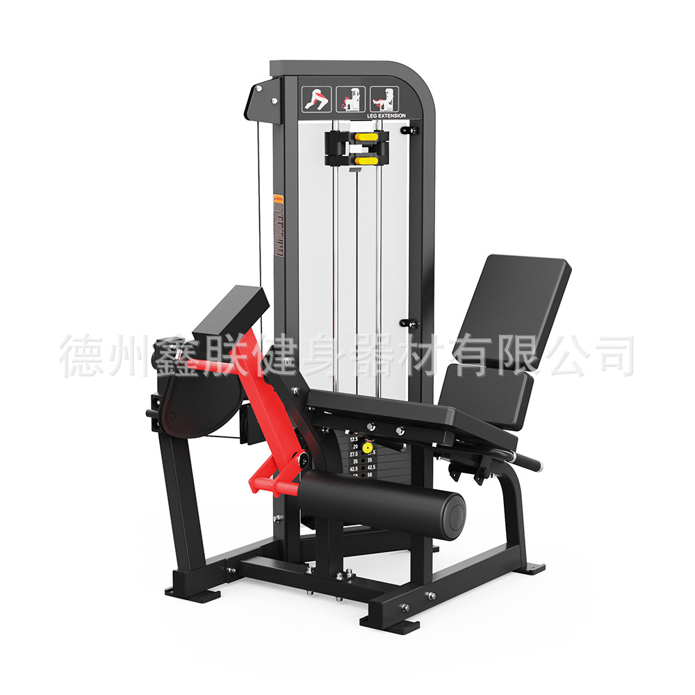 Gym Hammer Strength Equipment  – Home Gym Hammer Strength Bewertung und Preis