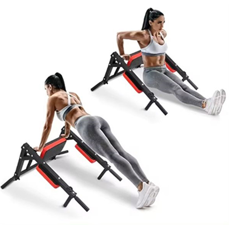 Heavy Duty Wall Mounted Parall – Home Gym Pull Up Bar Bewertung und Preis