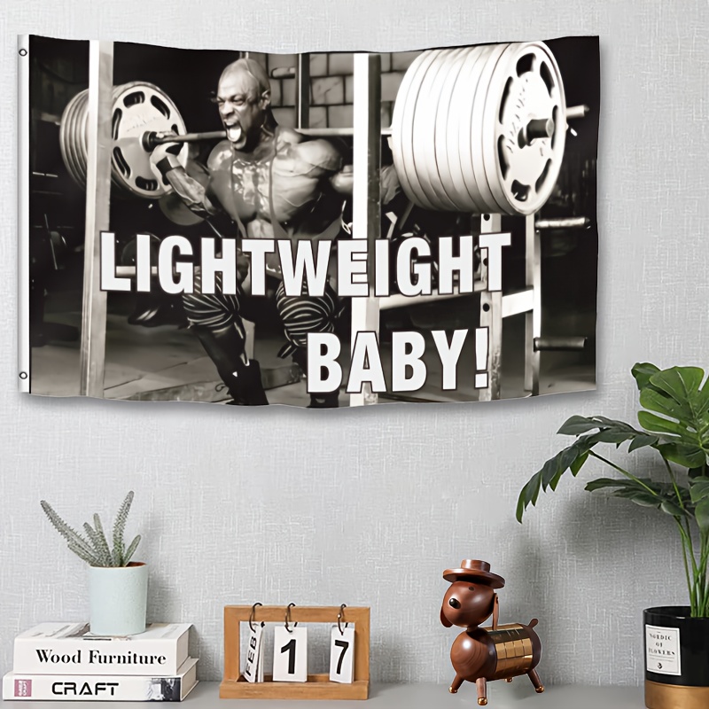 1pc Lightweight Baby Ronnie Co – Home Gym Vibes Bewertung und Preis