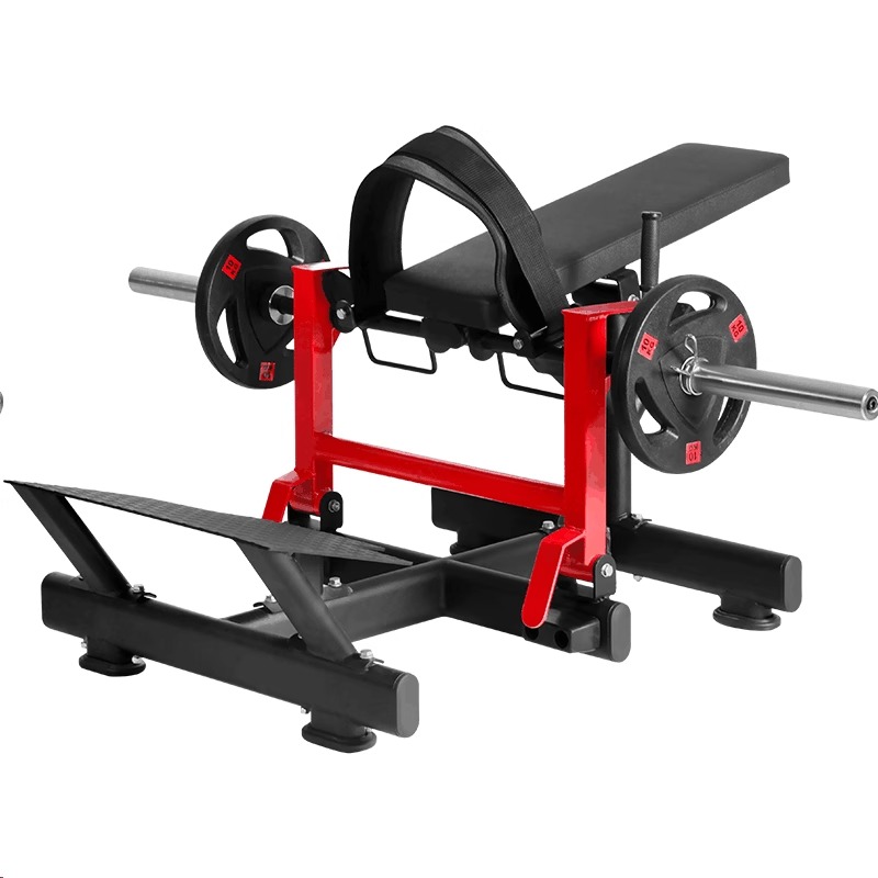 Glute and abdominal exercise m – Home Gym Multi Station Bewertung und Preis
